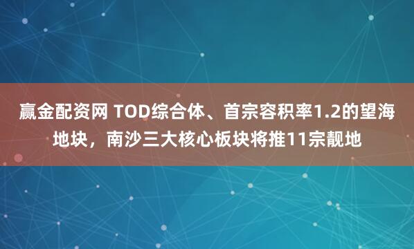 赢金配资网 TOD综合体、首宗容积率1.2的望海地块，南沙三大核心板块将推11宗靓地