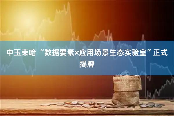 中玉束哈 “数据要素×应用场景生态实验室”正式揭牌