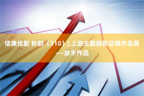 信康优配 秋韵（310）| 上游主题摄影征稿作品展——廖禾作品