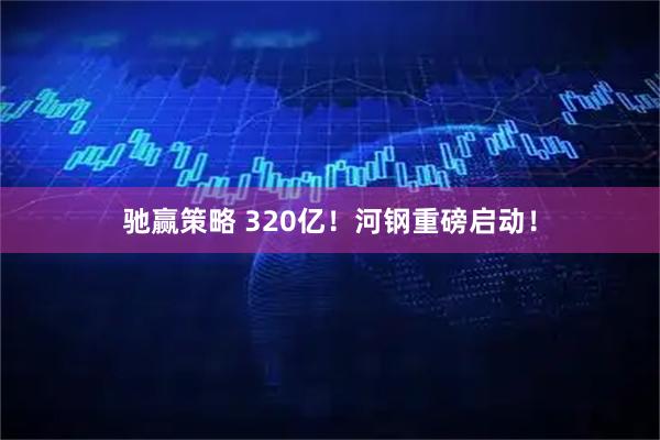 驰赢策略 320亿！河钢重磅启动！